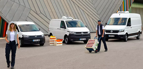 generar alerta de búsqueda de vehículos nuevos Leioa Wagen