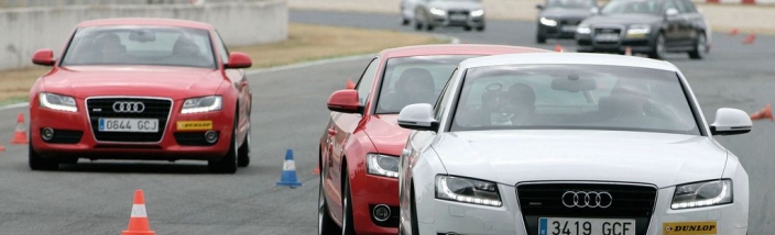Curso de conducción Audi para clientes de Leioa Wagen