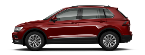 Tiguan Advance- Leioa Wagen