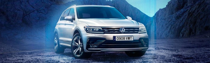 Tiguan - Leioa Wagen