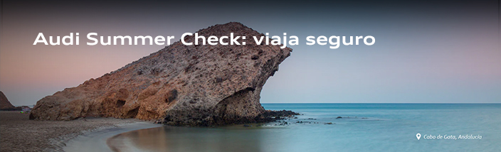 Audi Summer Check Bizkaia