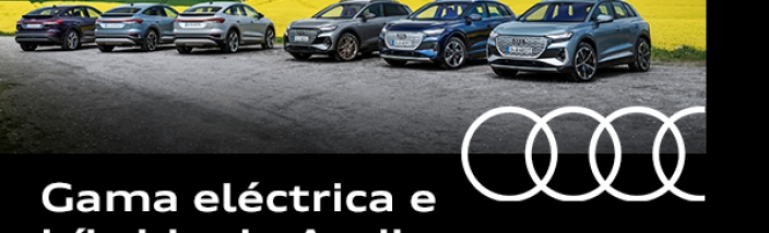 Especialistas en Eléctricos e Híbridos en Leioa Wagen