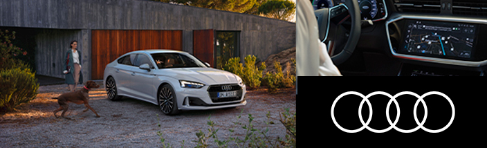 Activa el Navegador de tu Audi |  Audi Leioa Wagen