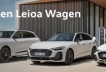 Audi Days en Leioa Wagen