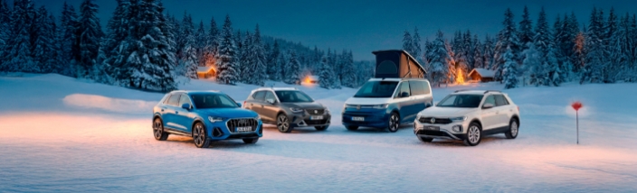 LIQUIDACIÓN de Vehículos de Gerencia y KM0